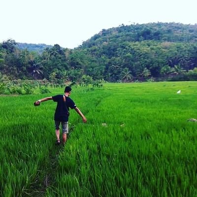 Bekerja keraslah hari ini,hadiahnya esok,sisanya nanti.