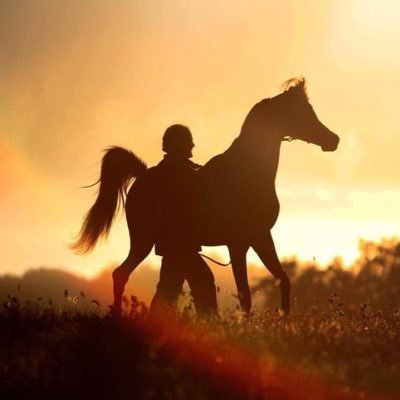 aldmah123's profile picture. 