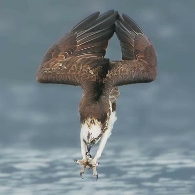 cancun_por's profile picture. 