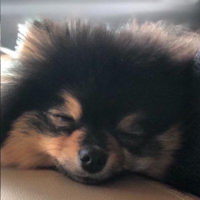 bs_cooky's profile picture. ☀︎︎♡︎ ʏᴏᴜ ᴀʀᴇ ᴛʜᴇ ᴄᴀᴜsᴇ ᴏғ ᴍʏ ᴇᴜᴘʜᴏʀɪᴀ ♪☽ | 00s | #방탄소년단 | #아미 | 💜🐳🌷