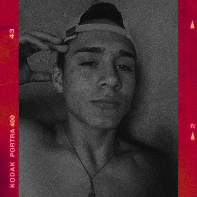 MiguelHonorio14's profile picture. 