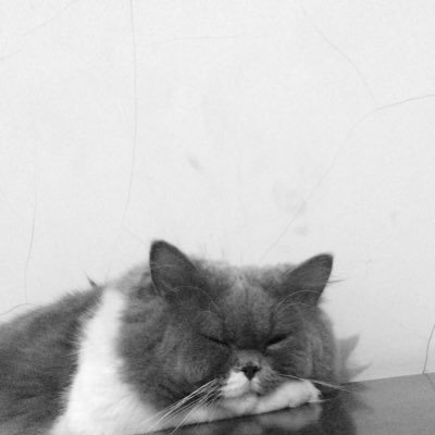 dedevDV's profile picture. 