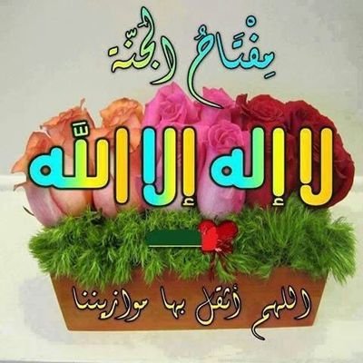 كُن راضياً وكأنك تملك كل شيء
فما كتبه الله ألطفُ مما تشاء
