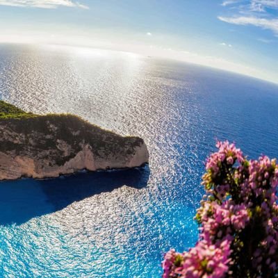 _asm06's profile picture. önce vatan 🇹🇷