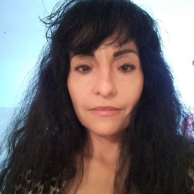 lafenix20's profile picture. @miafelpadito.