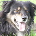 dan dare - @dansdone - Twitter