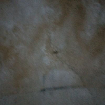 Mickey_boy339's profile picture. too sweet