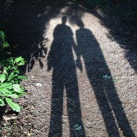 フィル (@oikophile) 's Twitter Profile Photo