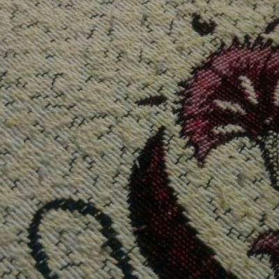 tofurcu35's profile picture. 