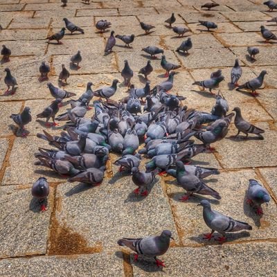 kathaipoma's profile picture. Just another fellow human!