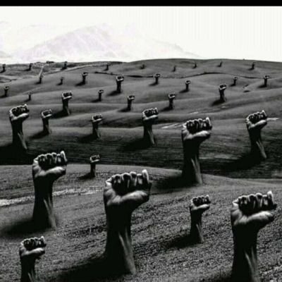 Necktiechick's profile picture. 