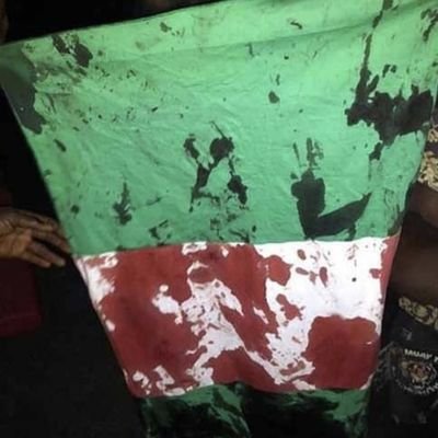 Bedford315's profile picture. 