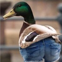 LordSchlorp (@lschlorp) 's Twitter Profile