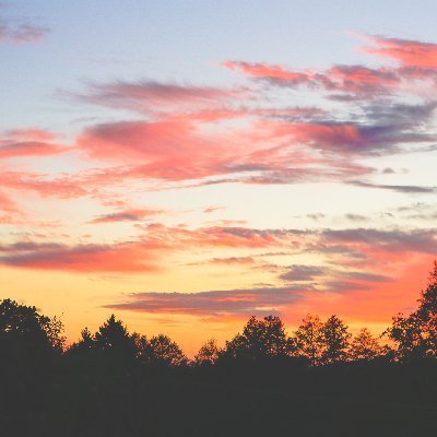 sp4zzd's profile picture. :)