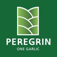 Peregrín One Garlic(@OneGarlic) 's Twitter Profile Photo