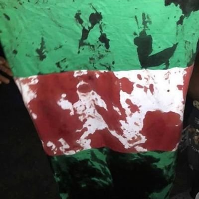 NacossC's profile picture. 