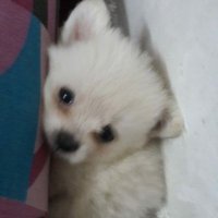 Cvewhen? (@cvewhen) 's Twitter Profile