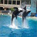 Lee Shafer - @scented08 - Twitter