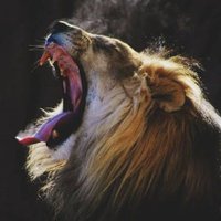 Toya Eze (@tobennaogb) 's Twitter Profile