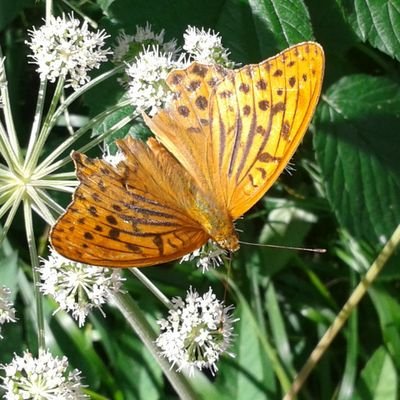 DeniseGuidi4's profile picture. 