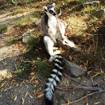 AGrigonis's profile picture. 