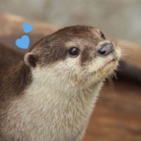 ゆあ🐳💙 (@yuto_yua116) 's Twitter Profile Photo