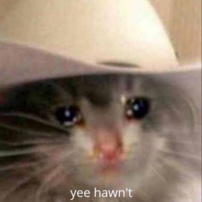 SingsMiss's profile picture. 