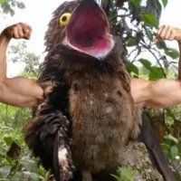 Follow me on thatpotoo.bsky.social🔞 (@thatpotoo) 's Twitter Profile