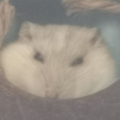 礼仪よく分からない。゚(゚´Д`゚)゚。失礼なところはどうぞよろしく!(///ˊㅿˋ///)(`・ω・´)ノ
🎤→💛\🍭📚🎲/💛杂食
💜\📿🌓⚖️/💜杂食
🏢→💚杂食