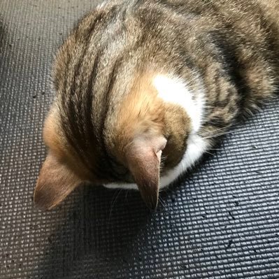 Andyさんのプロフィール画像