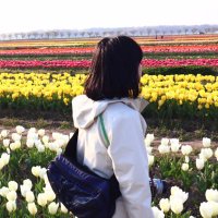 あさぬま (@numa_qk) 's Twitter Profile