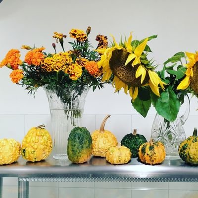 hanifesulu07's profile picture. 