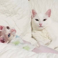 ``국국‘‘• (@_shhlk) 's Twitter Profile