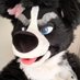 Boofer (@bigboof) Twitter profile photo Boofer (@bigboof) Twitter profile photo