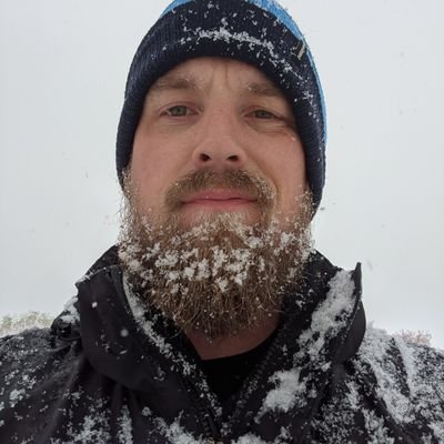 ninnemana's profile picture. professional stumbler.