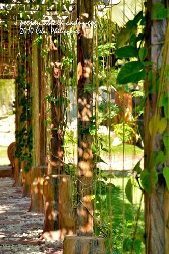 andreidesigns's profile picture. 