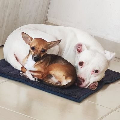 Oswaldo_Rmz's profile picture. 