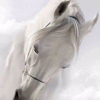 Om.3b00d (@o3b00d) 's Twitter Profile