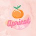 Apricot and Co. PH (@apricotandcoph) Twitter profile photo