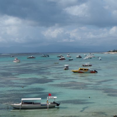 tomo8864100331's profile picture. 