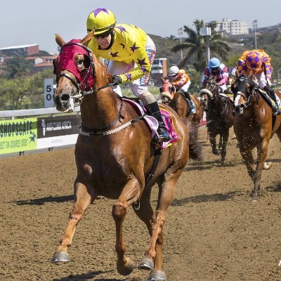 The Hollywood Syndicate is owned by bookmaker Hollywoodbets and currently owns over 90 thoroughbred race horses in South Africa.