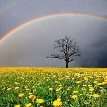 mailbox53's profile picture. M&E Specialist | Immunization Champion | committed to improving #Health Systems & Health status| Social innovator & Promoter of  #SDG's | #DHIS2