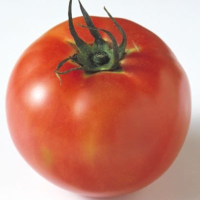 tomato_sugar217's profile picture. クロノジェネシスと02世代激推し。02世代では特にヒシミラクルとデュランダルが推し。ID897800943 YELLday2、クルクル幕張day2、6th春day2は現地参戦。お競馬はソダシの世代から始めました(時々G1で馬券を買う程度)