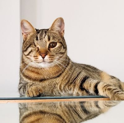 ozlem_mi's profile picture. 
