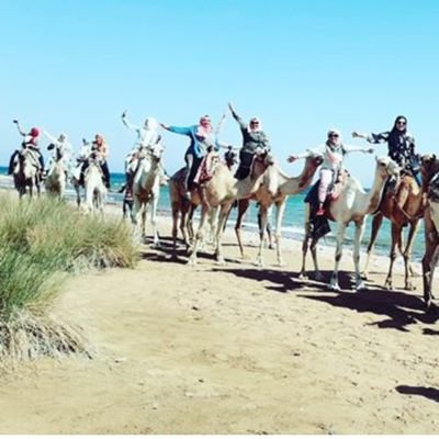 alaaosama817's profile picture. اللهم احفظ لي أحبتي  😍😍