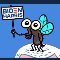 BidenHarris2020(@Biden___2020) 's Twitter Profileg