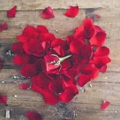 كل ألم يصيبنا يعوضنا به الله أجراً، اصبروا واشكروا، وترقبوا لعله خير