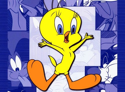 gein_sai's profile picture. 😊😊Egypt guy 😊😊
😊😊Nubian person 😊😊