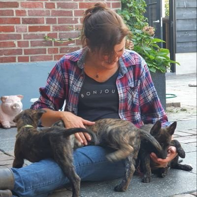 NienkevE's profile picture. 🐑🐕🐈🌱🍂🍄🐌