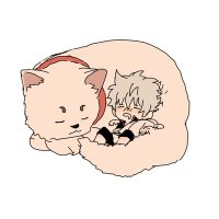 あんころ餅 (@jjddvic8kcoxjp4) Twitter profile photo